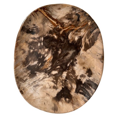 Very Large Vide-Poche or Dish in Petrified Wood For Sale
