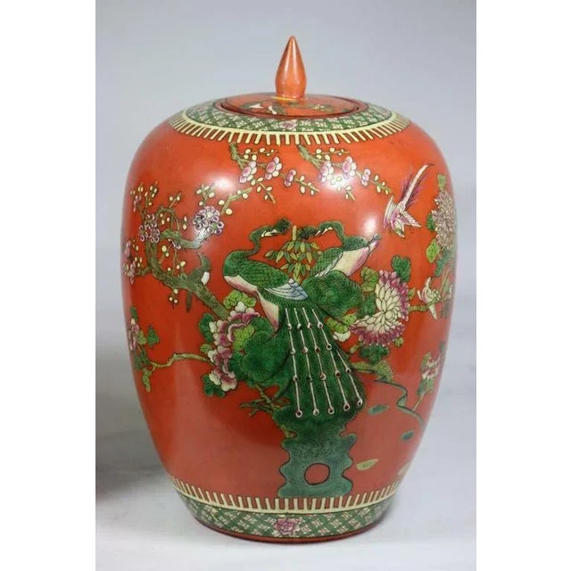 A pair of beautiful highly decorative Chinese late 19th century Qing Dynasty lidded ginger jars in the most exquisite...