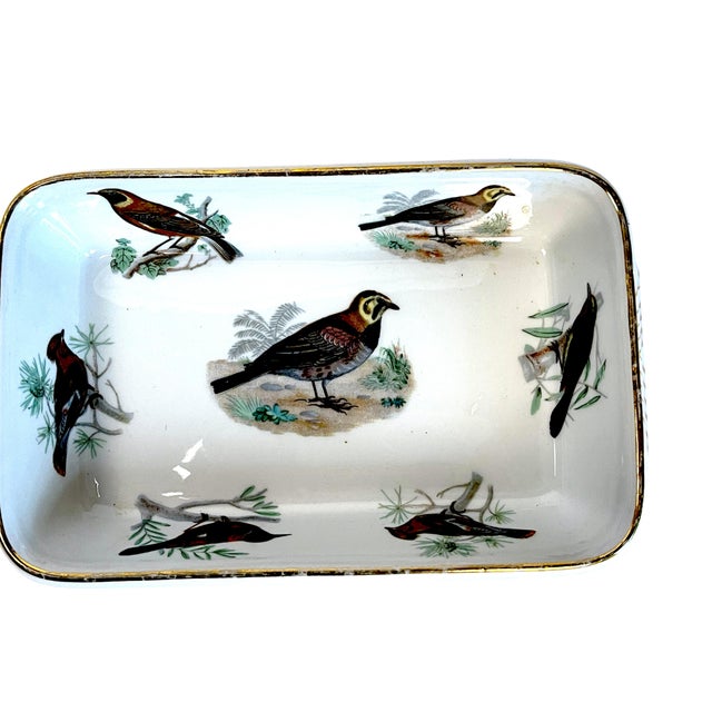 Early 20th Century Le Faune Birds Lourioux Fire Proof French Porcelain Casseroles - Set of 4 For Sale - Image 4 of 18