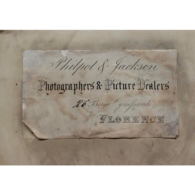 Brown Michelangelo Meucci -19th Century Still Life of Song Birds -Oil Painting For Sale - Image 8 of 9