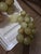 String of jade marbles in the image of a bunch of grapes