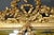 Louis XVI Style Golden Wood Mirror For Sale - Image 5 of 18