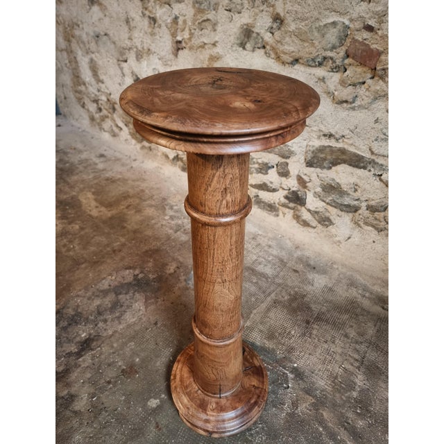 Antique French Elmwood Pedestal, 1900 For Sale - Image 13 of 13