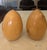 Two large burled wood egg shaped polished sculptures and smooth to the touch. So many variations in the wood grain...