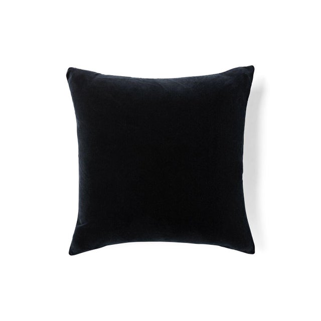 This listing is for a single pillow. The background pillow is to showcase the fabric on the back side. Amp up your space...