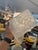 Lights David Alexander for Boyd Lighting Magnus Wall Sconce For Sale - Image 7 of 15