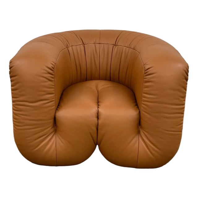 De Sede Ds-707 Canada Armchair For Sale