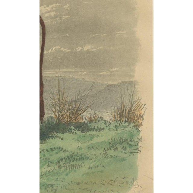 After Rosa Bonheur, Salers Cow and Calf, 1873, Paper For Sale - Image 6 of 12