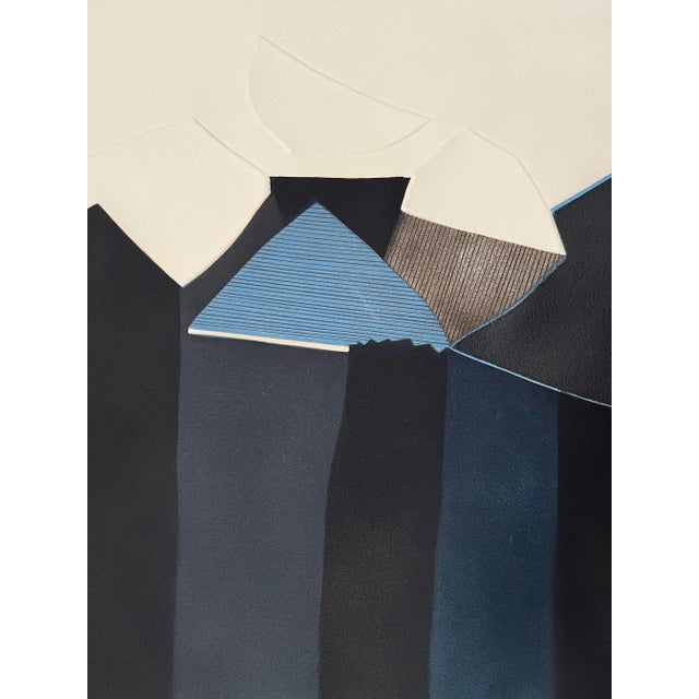 Original Signed 1975 Framed 'Falaise Noire' Embossed Color Aquatint by Bertrand Dorny For Sale - Image 4 of 6