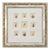 Antique Coastal Seashell Set of 9 | Custom Framed Collection | by Donovan, Circa 1804 For Sale
