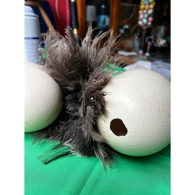 Large Pair of Authentic Ostrich Eggs For Sale - Image 4 of 9