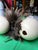 Large Pair of Authentic Ostrich Eggs For Sale - Image 4 of 9