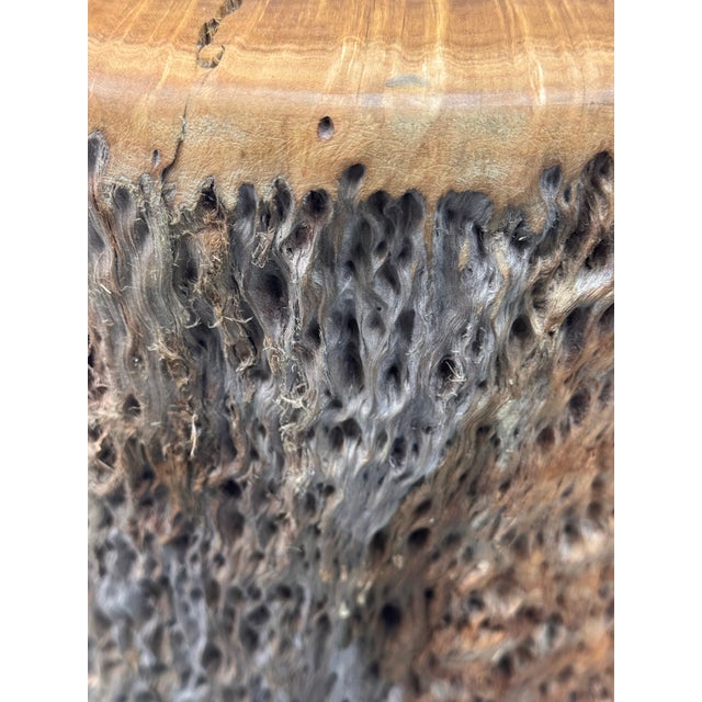 Coffee Organic Modern Live Edge Tree Side Table/Stool For Sale - Image 8 of 12