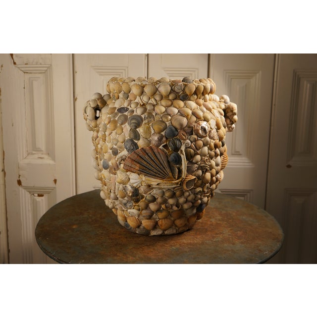Coastal Grey Shell Vase For Sale - Image 3 of 5