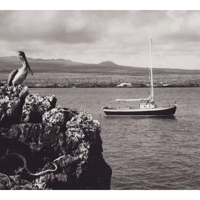 Hanna Seidel (1925 to 2005) lived and worked in Argentina for many years. She was a world traveller, journeying to South...