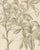 19th Century J. Gaÿkema, Aralia Pentaphylla Shrub with Flower and Fruit Details, 1858, Lithograph For Sale - Image 5 of 9