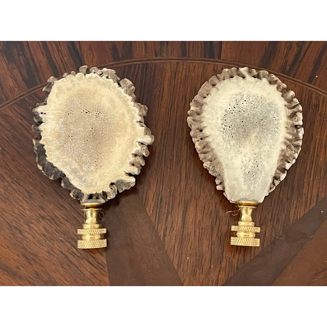 Antique pair of Black Forest deer Antlers borrows on brass bases lamp finials.