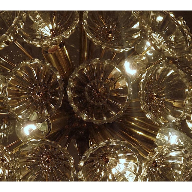 Dandelion Hanging Lamp with Glass Flowers and Brass, 1950s For Sale - Image 16 of 18