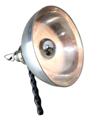 Vintage Austrian Reflector Lamp from Panexsol, 1960s