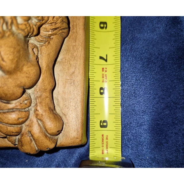 Sculpture Materials A Pair of Neoclassical Reclining Lion Bookends Fd For Sale - Image 7 of 8