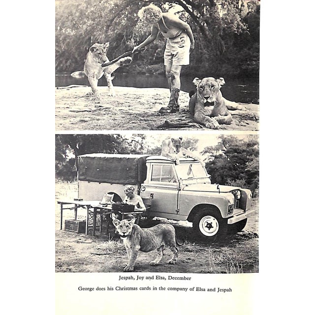 "Living Free: The Story of Elsa and Her Cubs" 1961 Adamson, Joy For Sale - Image 9 of 9