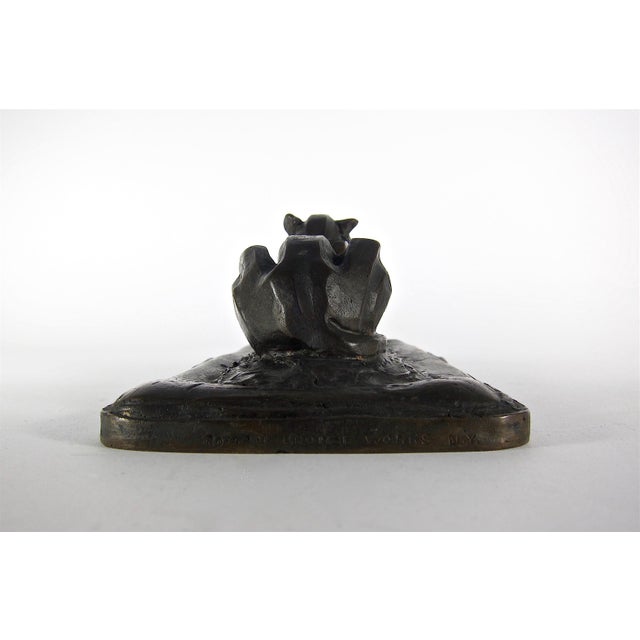 Marie Zimmermann Lioness Roman Bronze Works For Sale - Image 9 of 11