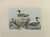 Johann Friedrich Naumann, Ducks, Etching, 1840 For Sale - Image 3 of 3