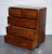 Antique Satinwood Military Campaign Chest of Drawers, 1800s For Sale - Image 5 of 18