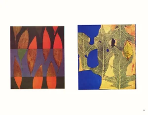 Josef Albers 1963 "Interaction of Color" Folder Xxv-5 Right Side "Autumn Leaves" Print