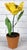 Yellow Porcelain Parrot Tulip by Didier Gardillou For Sale - Image 4 of 7