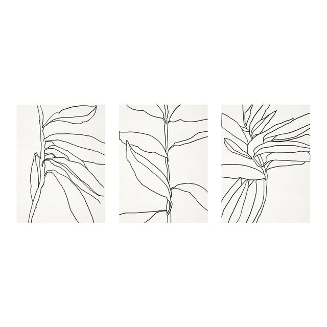 Contemporary Botanical Giclee Prints - Set of 3 For Sale