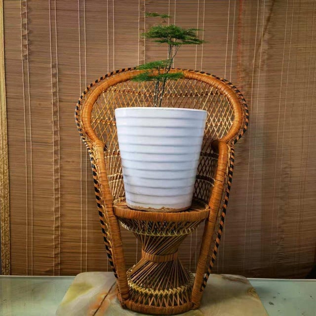 Brown Vintage Japanese Hand-Woven Bamboo Peacock Chair Stand - Wabi Sabi Rattan Display Riser For Sale - Image 8 of 10