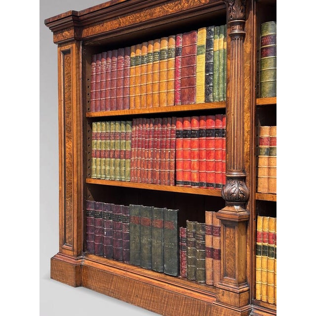 Antique William IV Burr Walnut Bookcase, 1840 For Sale - Image 3 of 16