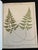 Late 19th Century Heath's Fern Portfolio, 1885 Complete With 15 Chromolithographs For Sale - Image 5 of 18