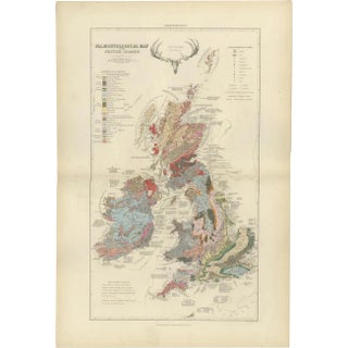 Antique Map of the Palaeontology of the British Isles by Johnston, 1850 For Sale