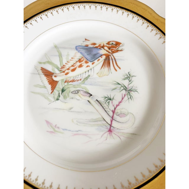 Gold Ceramic Plates with Fish Decoration, France, 1970s, Set of 3 For Sale - Image 8 of 17