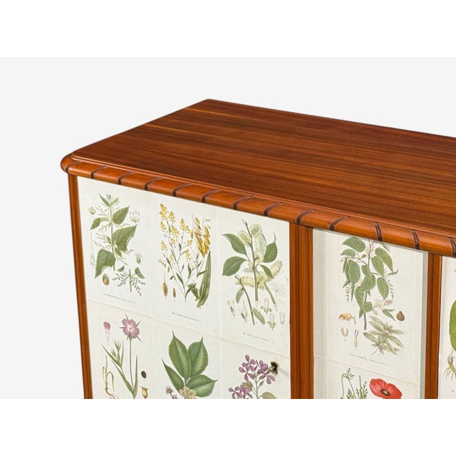 Swedish Modern, Nordens Flora Cabinet, Mahogany, Lithographs, Sweden, 1940s For Sale - Image 10 of 13