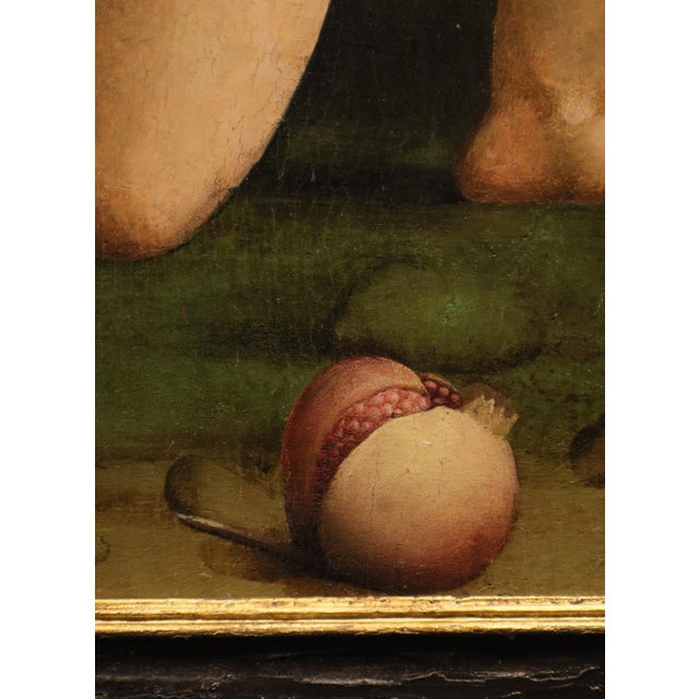 Workshop of Marco Palmezzano, Saint John the Baptist as a Child, 16th Century, Oil Painting on Panel For Sale - Image 7 of 15