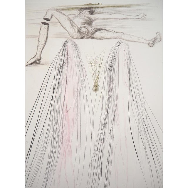 Salvador Dali, The Giant Beliagog, Original Etching For Sale - Image 4 of 7