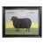 Contemporary 'Norma' Original Naive Style Animal Oil Painting by British Artist Matt Rix, Framed For Sale