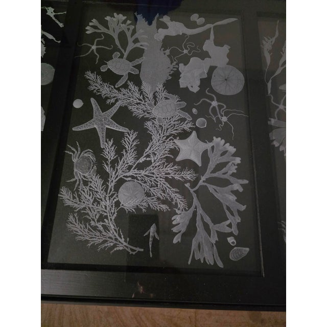 Hand Engraved Sea Life Glass and Metal Coffee Table For Sale In Seattle - Image 6 of 15