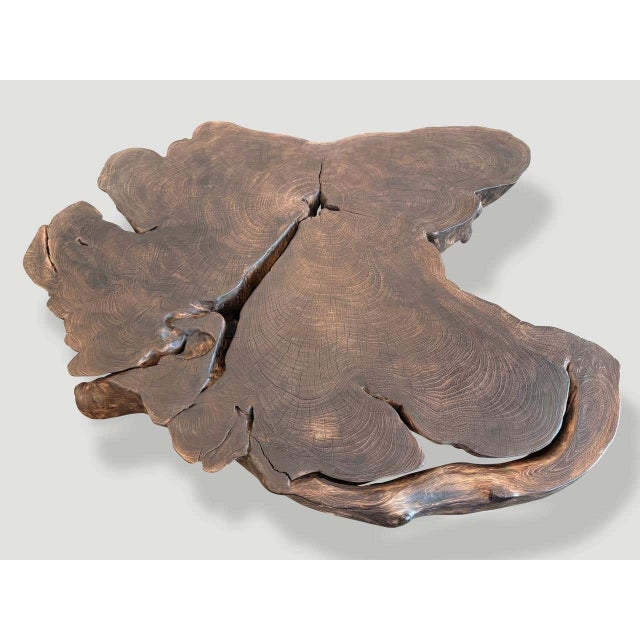 Contemporary Andrianna Shamaris Modern Teak Wood Coffee Table with Charred Finish For Sale - Image 3 of 5