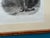 Mid 9th Century “Pehriška-Ruhpa” Native American Portrait Lithograph by Karl Bodmer in Burlwood Frame For Sale In San Diego - Image 6 of 7