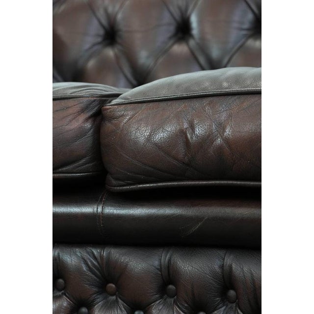 Vintage Chesterfield Two-Seater Sofa in Dark Brown Cowhide For Sale - Image 16 of 18