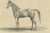 Paper August Jäger, Burnu, 1846, Lithograph For Sale - Image 7 of 9