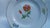 Vintage Porcelain Coffee Tea Trio in Red Anemone from Meissen, 1970s, Set of 3 For Sale - Image 4 of 16