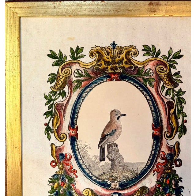 American Early Bird Print in a Giltwood Frame, Signed by a Connecticut Gallery on Back Side For Sale - Image 3 of 7