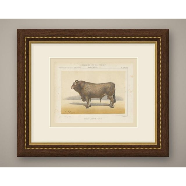 This is an original antique chromolithograph, printed in color from several lithographic stones, from victor borie's...
