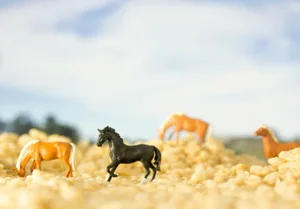Cereal - Horses 1 by Matthew Carden Print, 36" x 45"