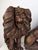 Antique Renaissance Revival Italian Hand-Carved Wooden Lions, 1890s, Set of 2 For Sale - Image 11 of 18
